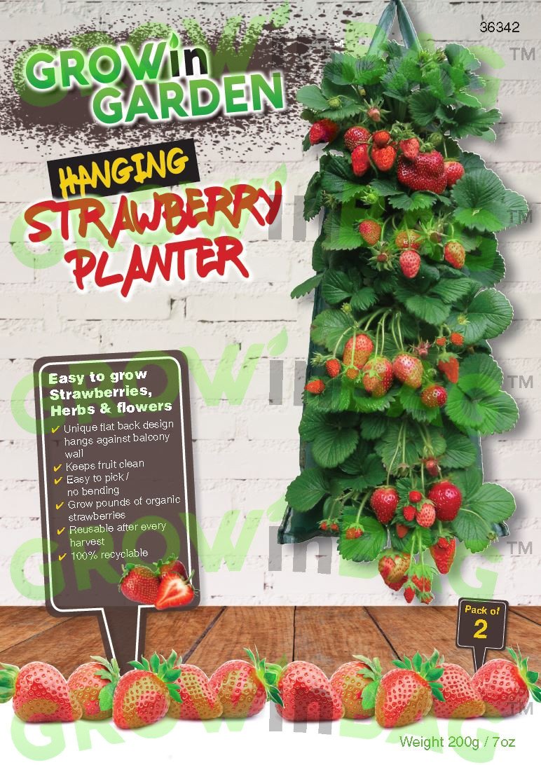 Hanging strawberry planter