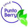 Image of PuntoBerry (Chile).  Estefani Aguilera, Ingeniero de Producción.