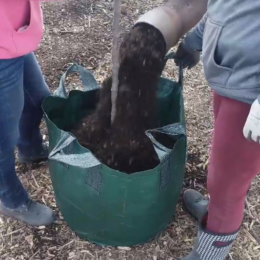 Cómo rellenar bolsas de cultivo de manera automatizada